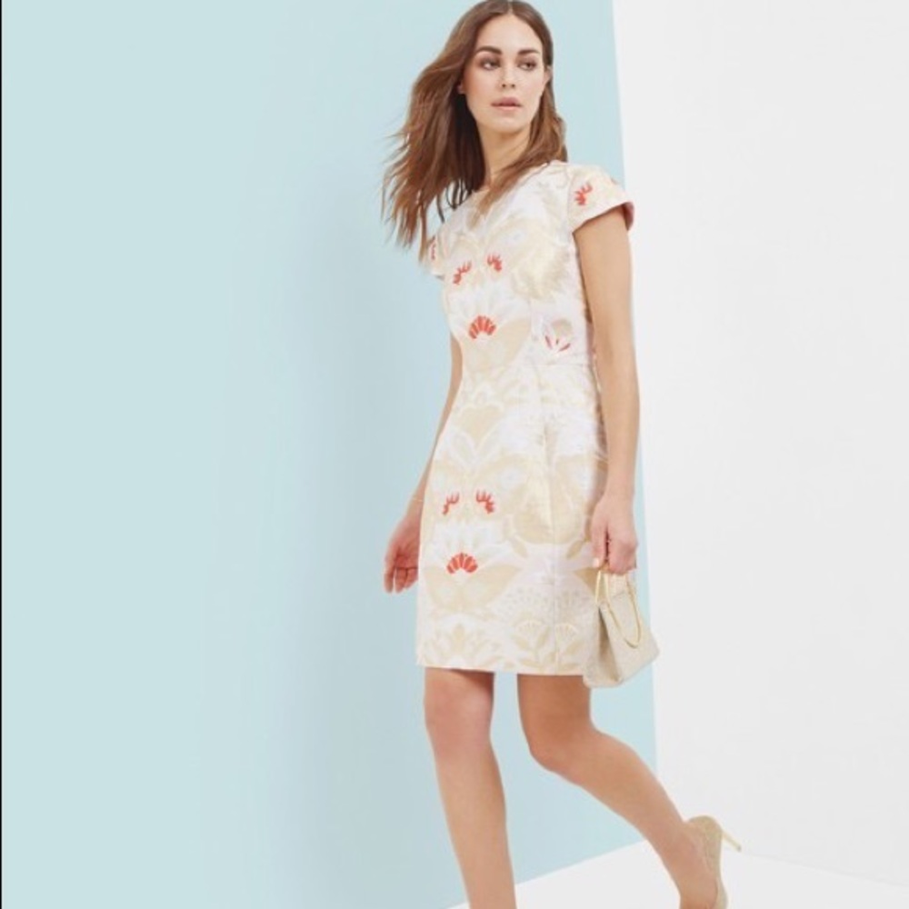 Ted Baker Dress